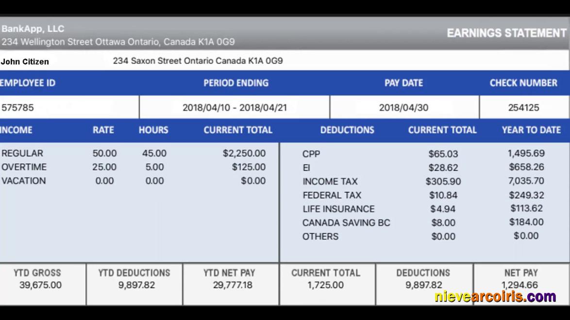 CANADA BANKAPP LLC earning statement